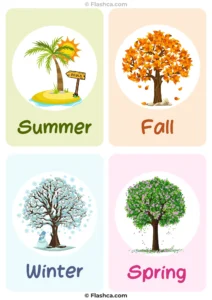 Seasons Flashcards