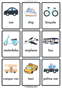 Transport Flashcards